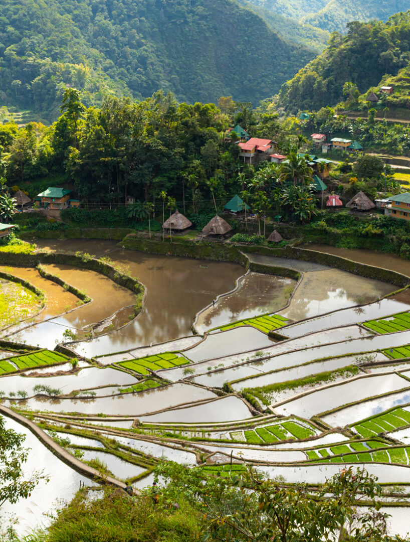 Philippine