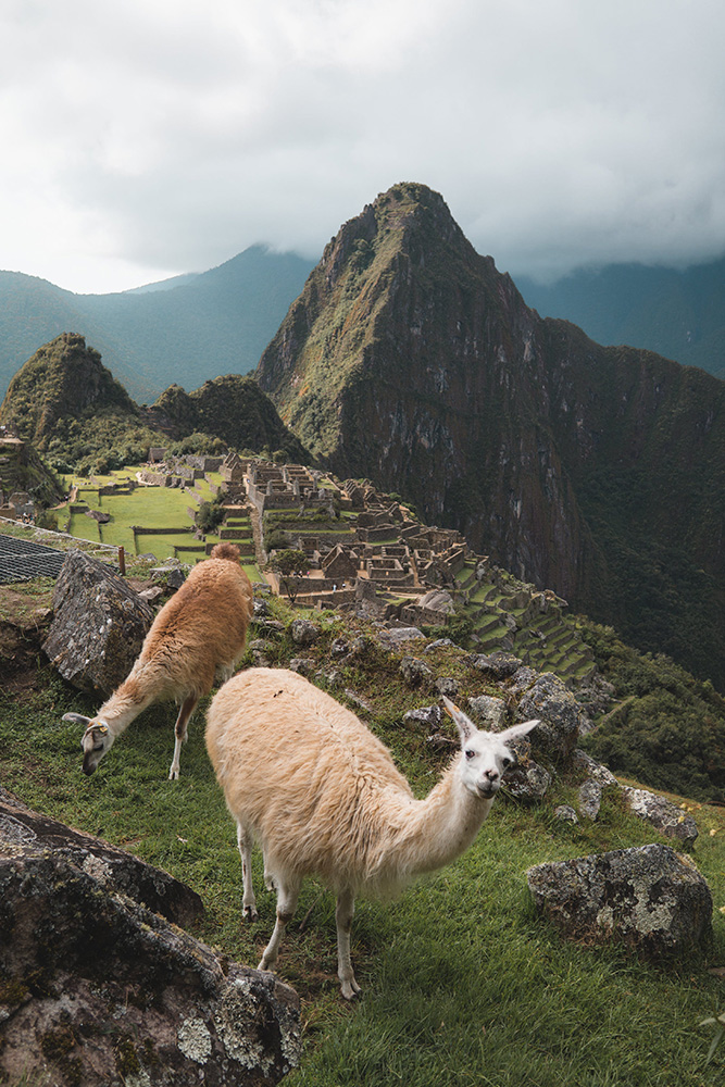 Machu Pichu, Pérou