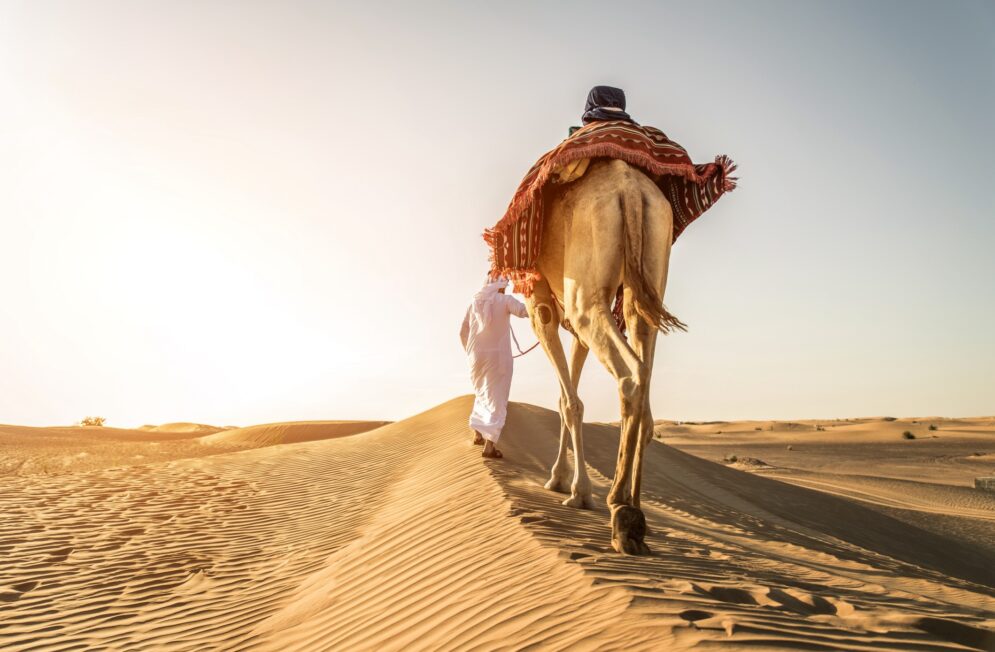 Nos experts de l'Arabie Saoudite