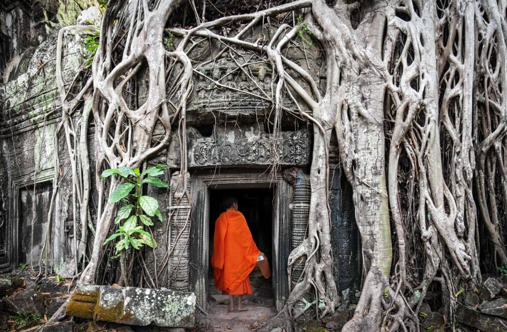 Nos experts du Cambodge