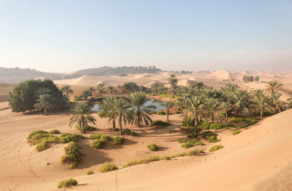 Nos experts des Emirats Arabes Unis