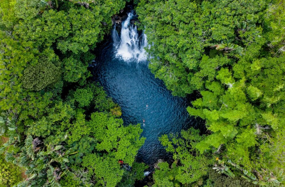 Nos experts de l'île Maurice