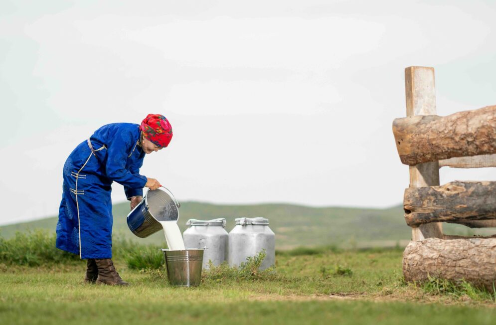 Nos experts de la Mongolie
