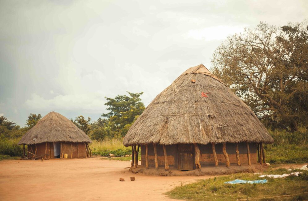 Nos experts de l'Ouganda
