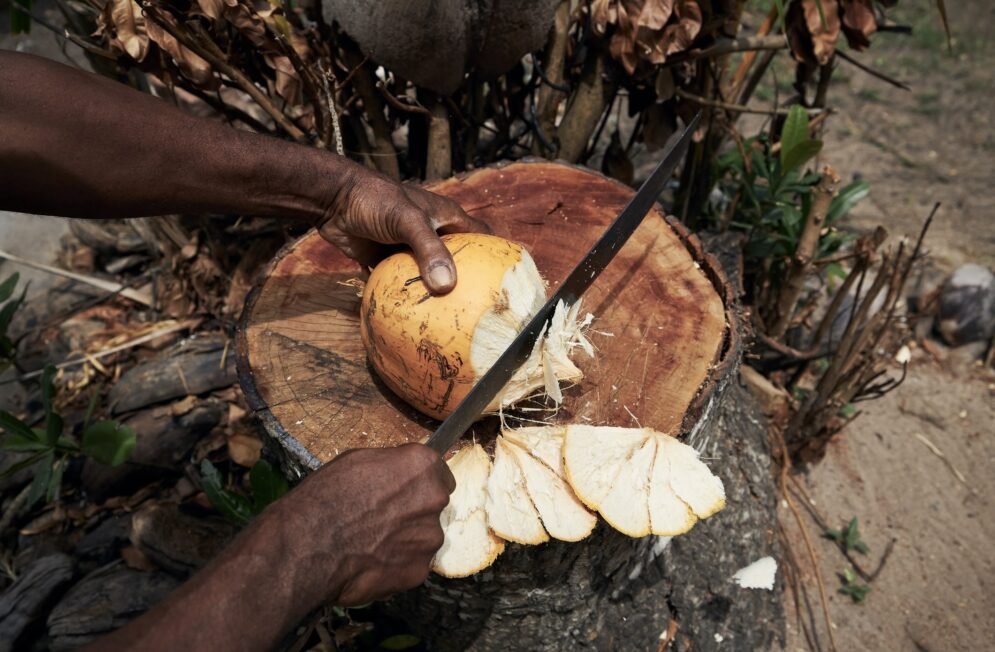Nos experts des Seychelles