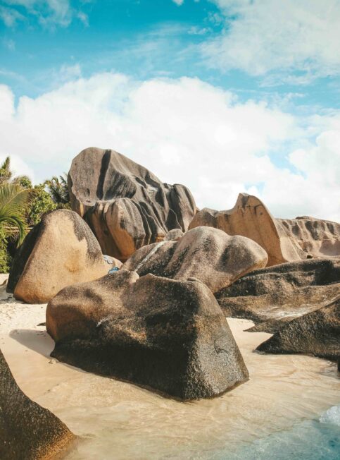 Nos experts des Seychelles