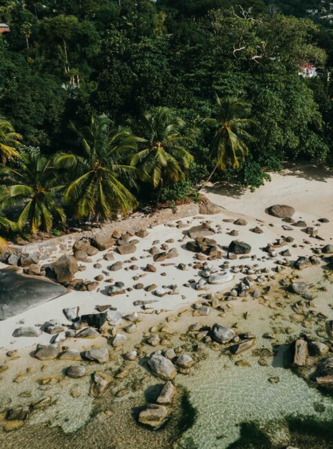 Nos experts des Seychelles