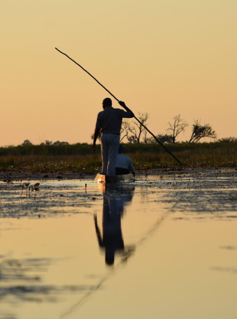Nos experts du Botswana