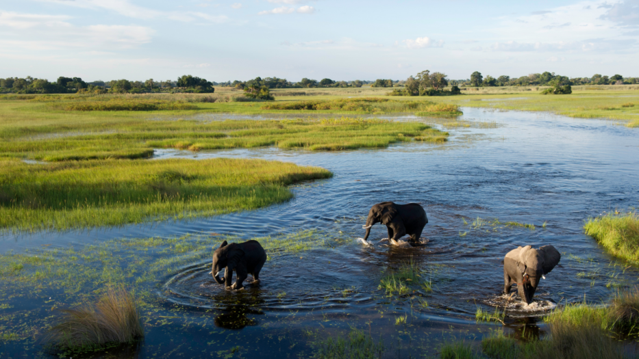 Voyage au Botswana : Nos expériences insolites