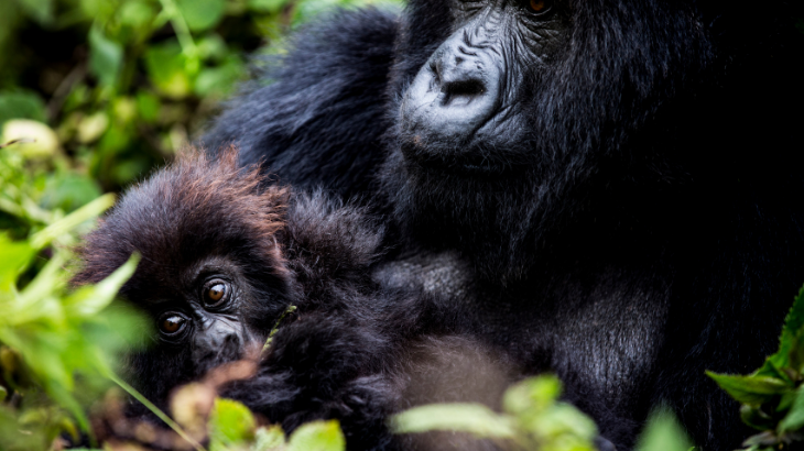 Rwanda