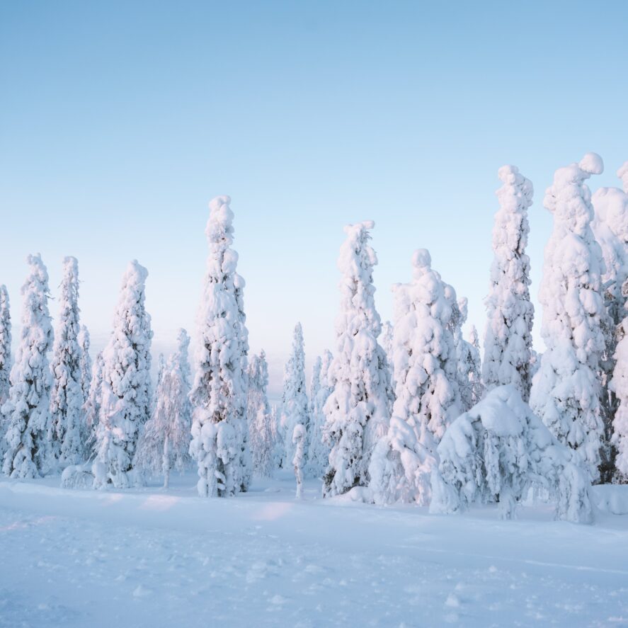 L'appel de la nature en Laponie finlandaise : une aventure hivernale