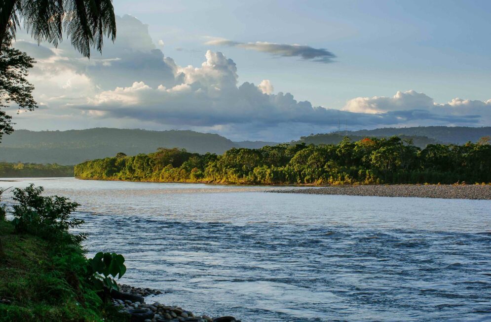 Nos experts de l'Equateur