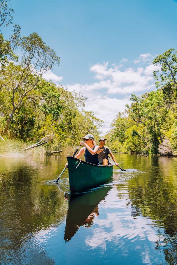 En canoe dans les eaux de Noosa, second système d'Everglades du monde en Australie