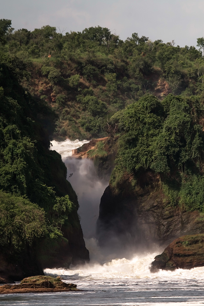 Forêt de Budongo & Murchison Falls