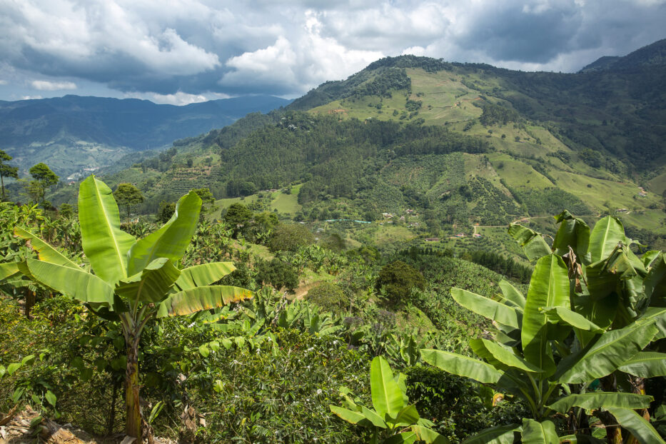 À la rencontre des locaux en Colombie