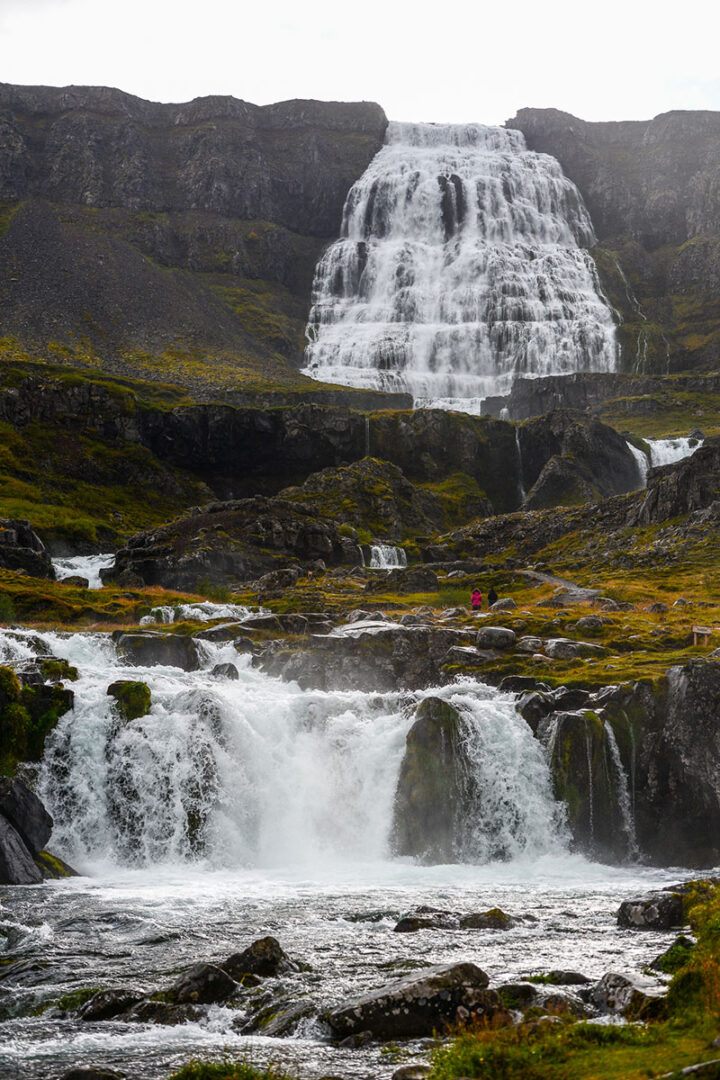 LÁTRABJARG - DYNJANDI - ÍSAFJÖRÐUR