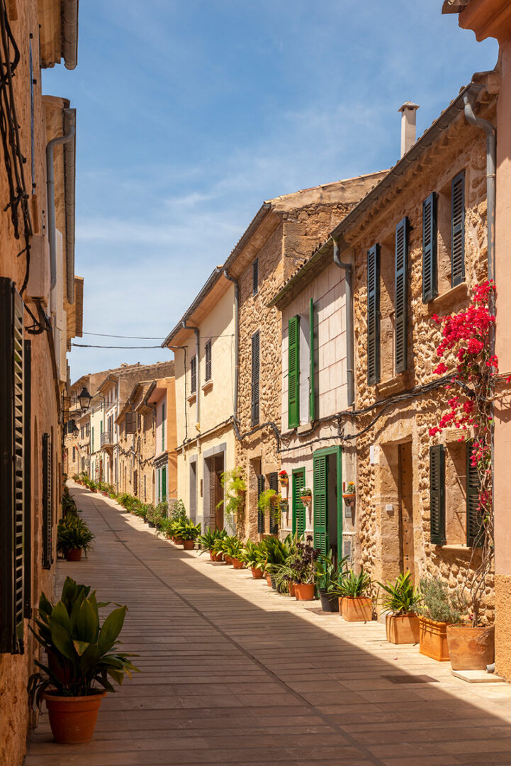 Arrivée dans la région d'Alcúdia