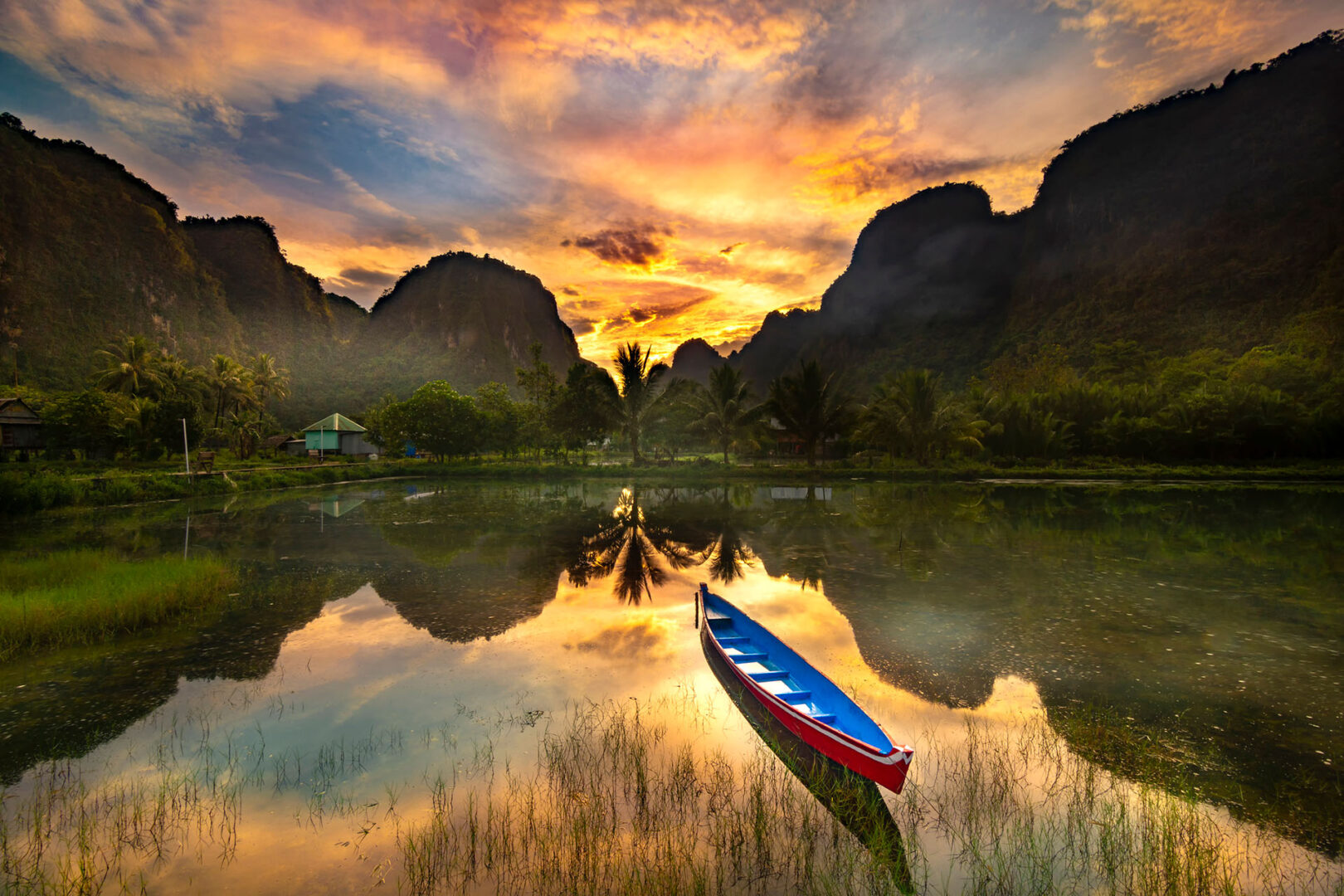 Sulawesi : l'île aux merveilles