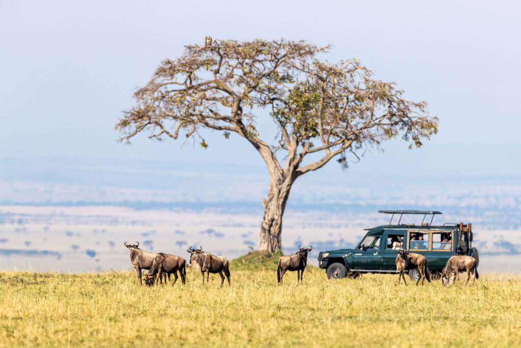 Kenya