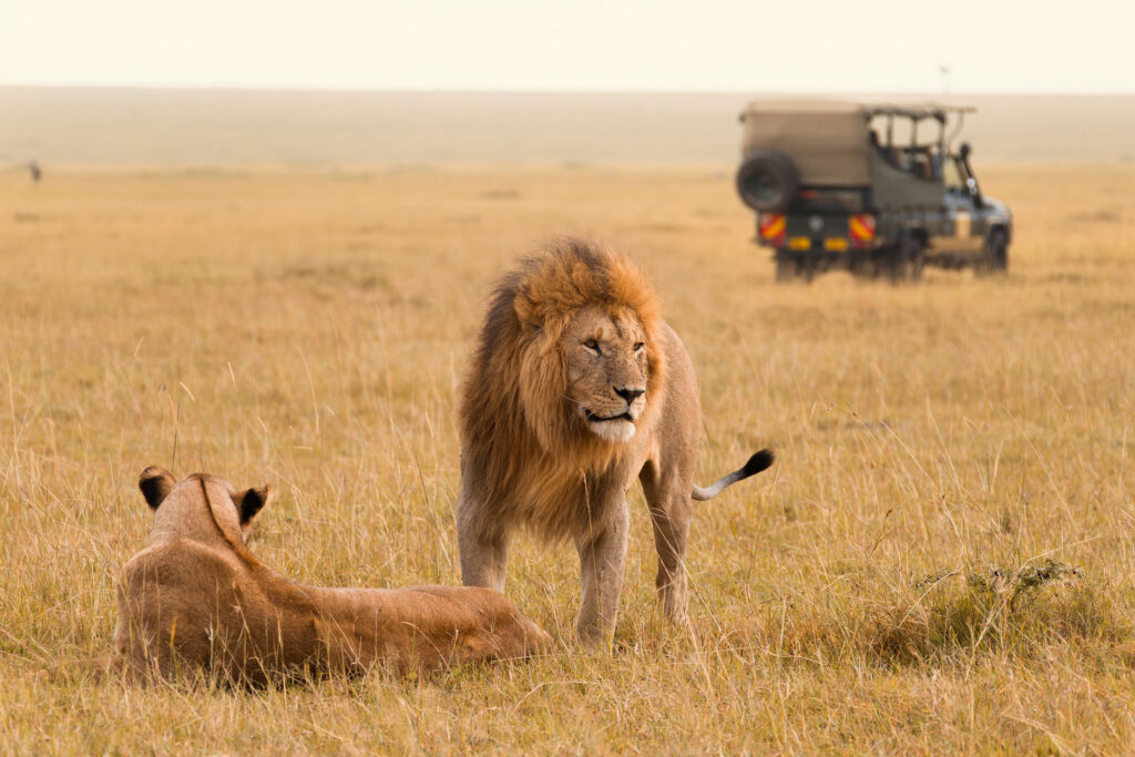 Kenya