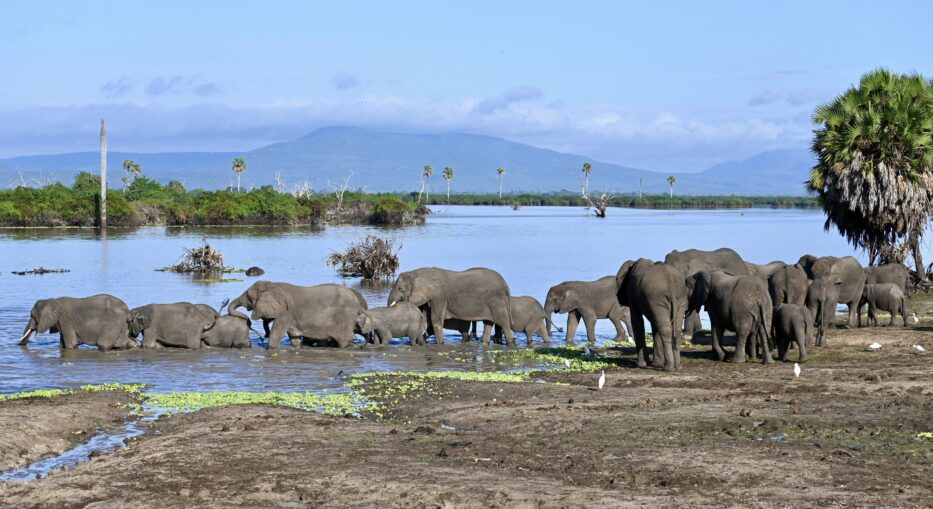 Retour de voyage dans le sud de la Tanzanie