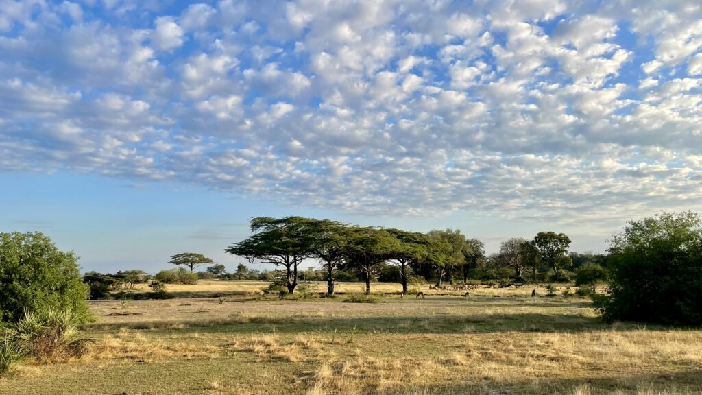 Retour de voyage dans le sud de la Tanzanie