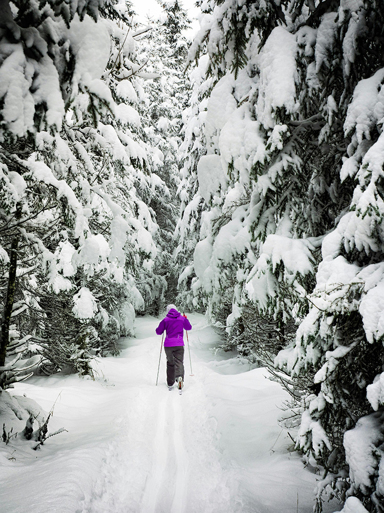 Saariselkä : Ski nordique et motoneige sous les aurores