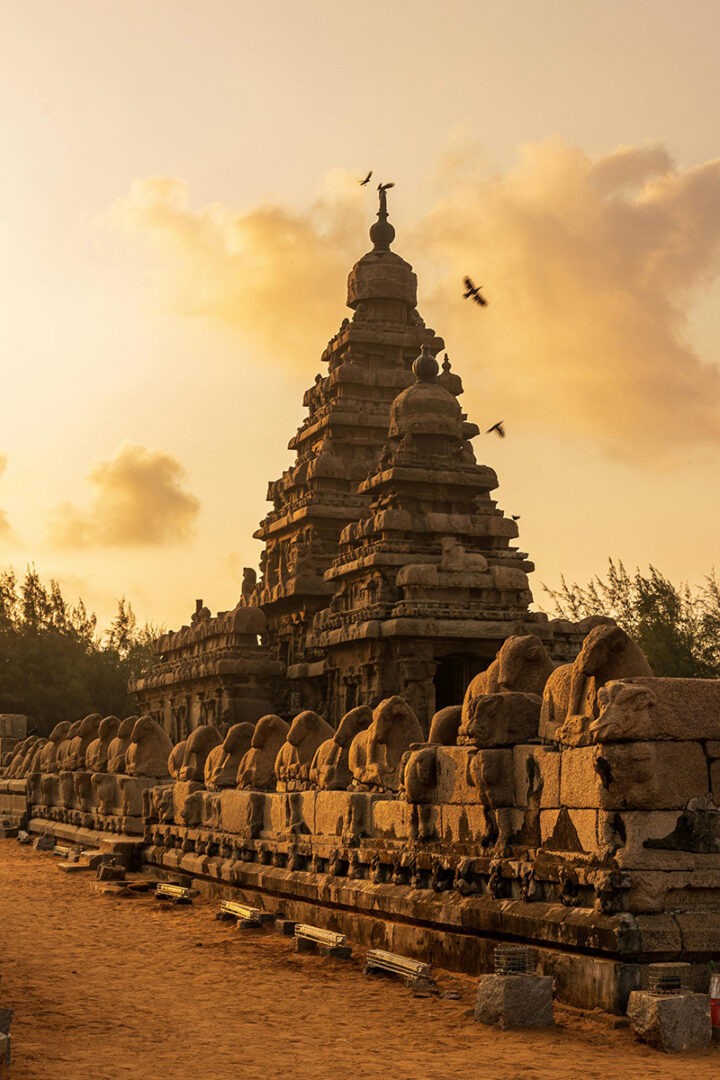 Arrivée à Mahabalipuram 
