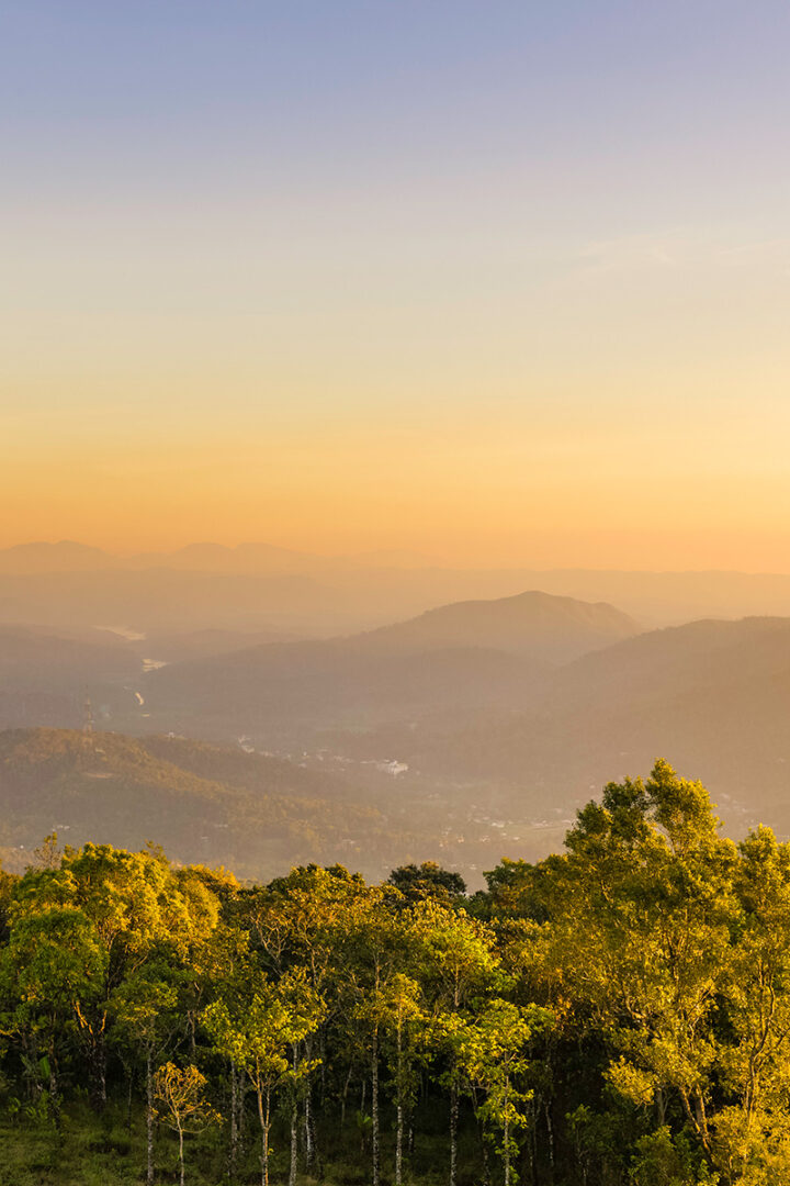 Découverte de Thekkady