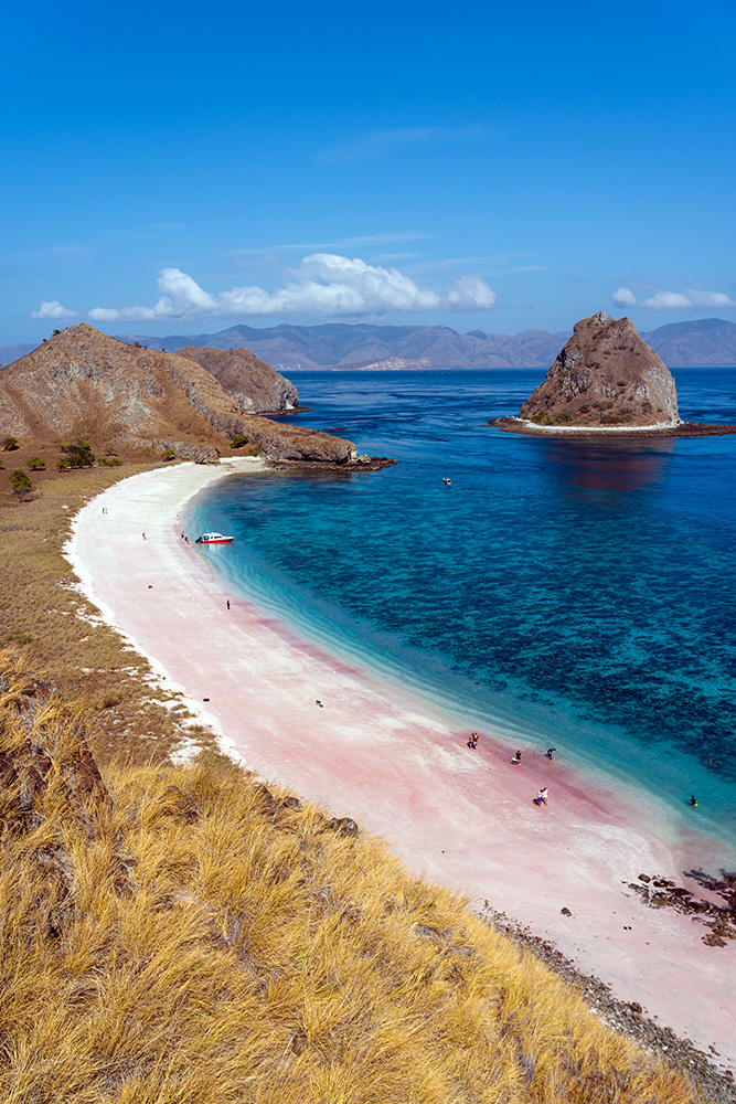 Détente à Pink Beach et retour à Labuan Bajo