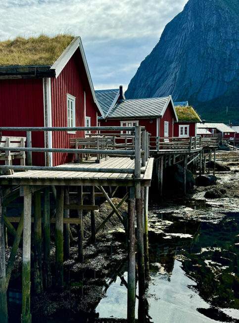 Nos experts de la Norvège