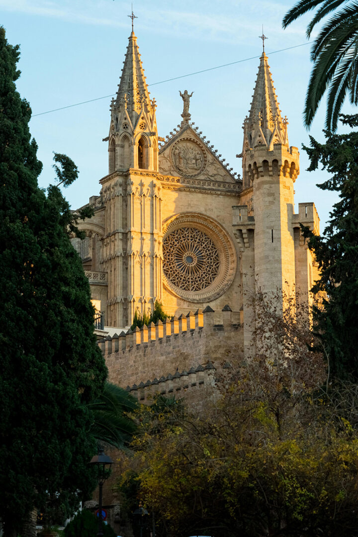 Découverte de Palma 