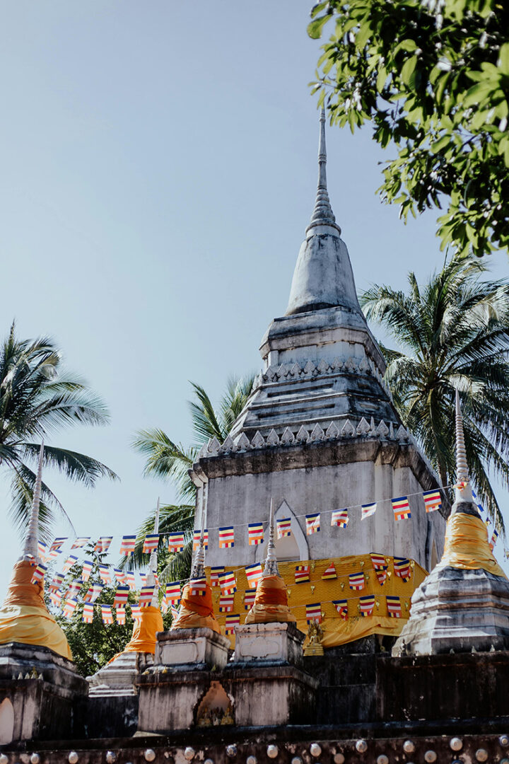 Visite du site de Sarnath 