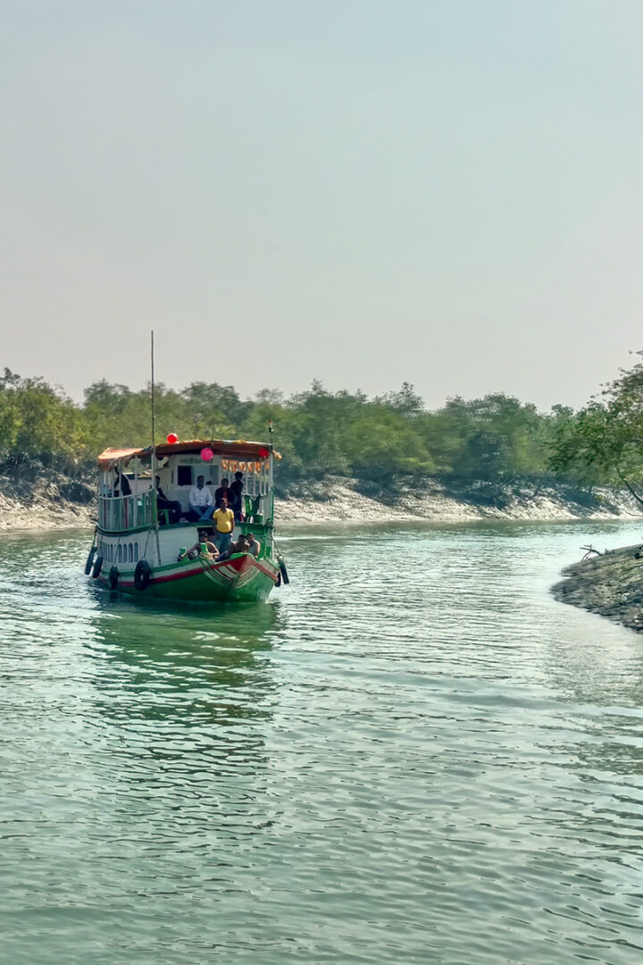 Le pays des mangroves