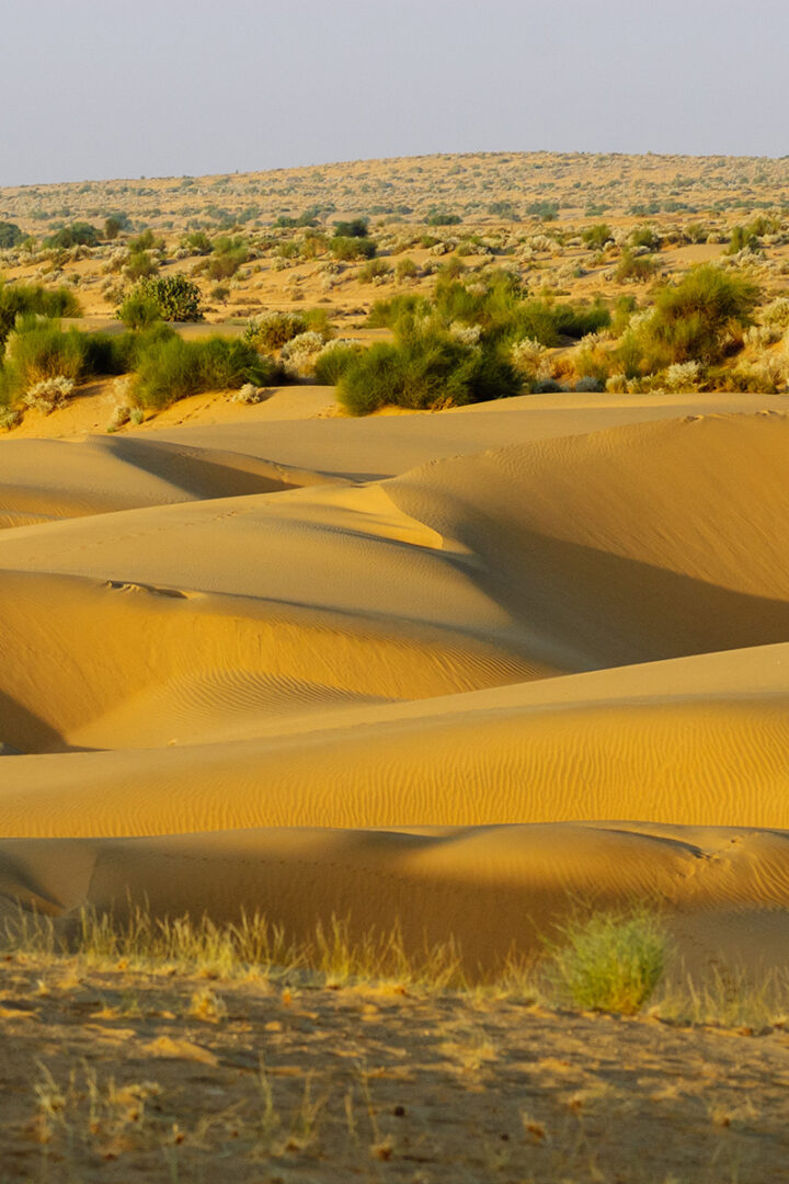 Direction Jaisalmer