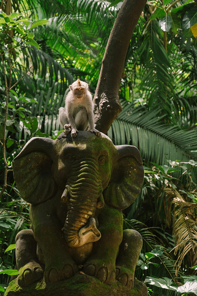 Etape à Ubud