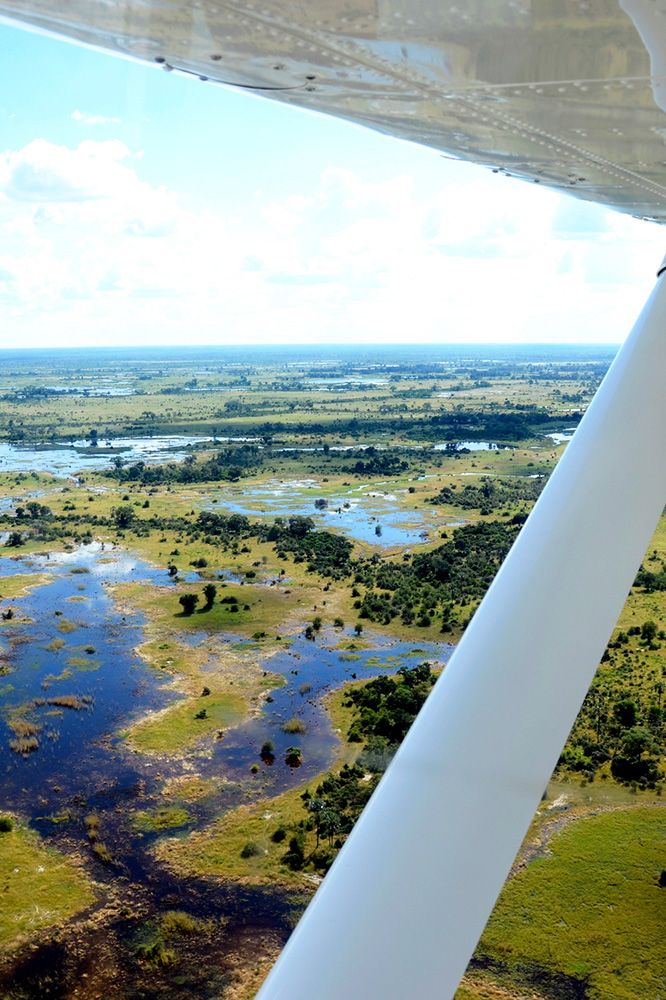 Au cœur du célèbre Delta de l'Okavango
