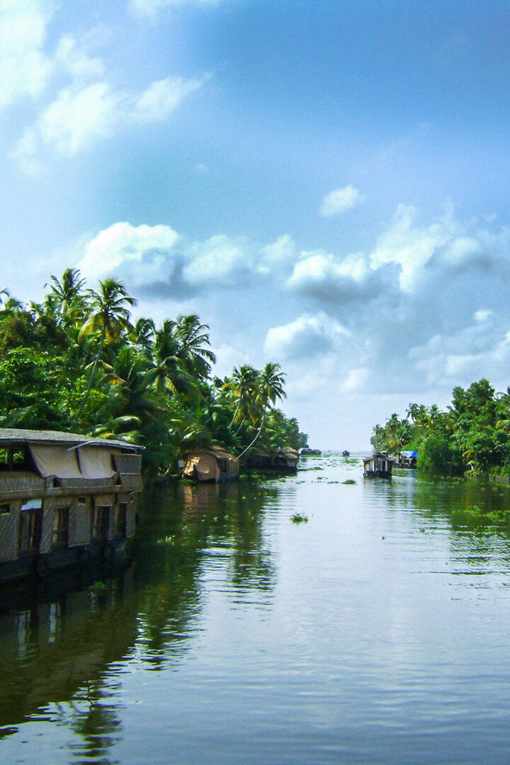 Immersion dans les Backwaters 