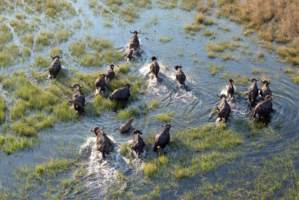Botswana