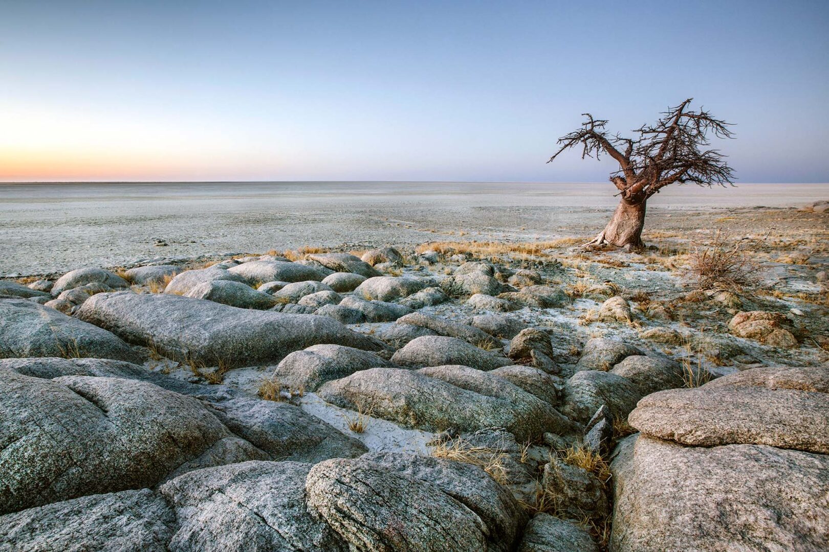 Grande découverte du Botswana