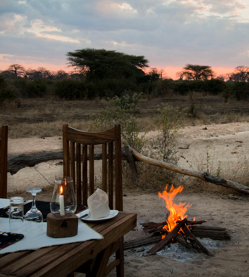 Séjour et découvertes à Ruaha 
