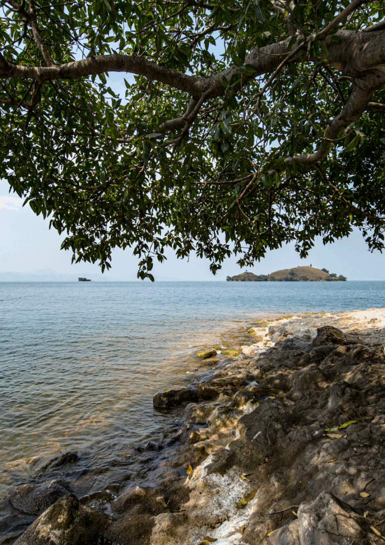 Kigali - Lac Kivu : Mémoire et douceur des rives