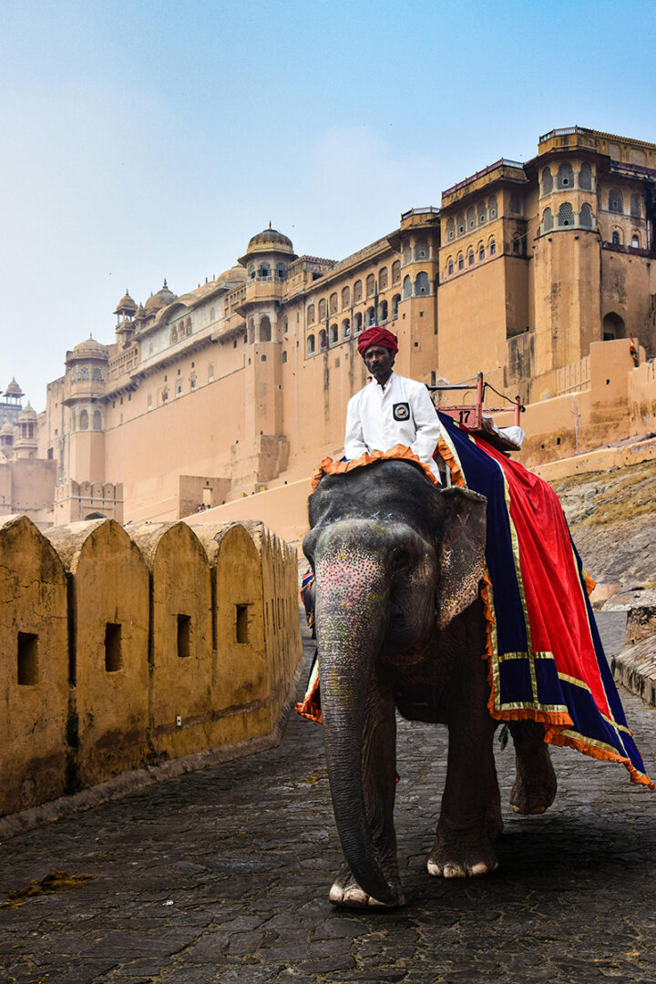 Un peu de sérénité à Jodhpur