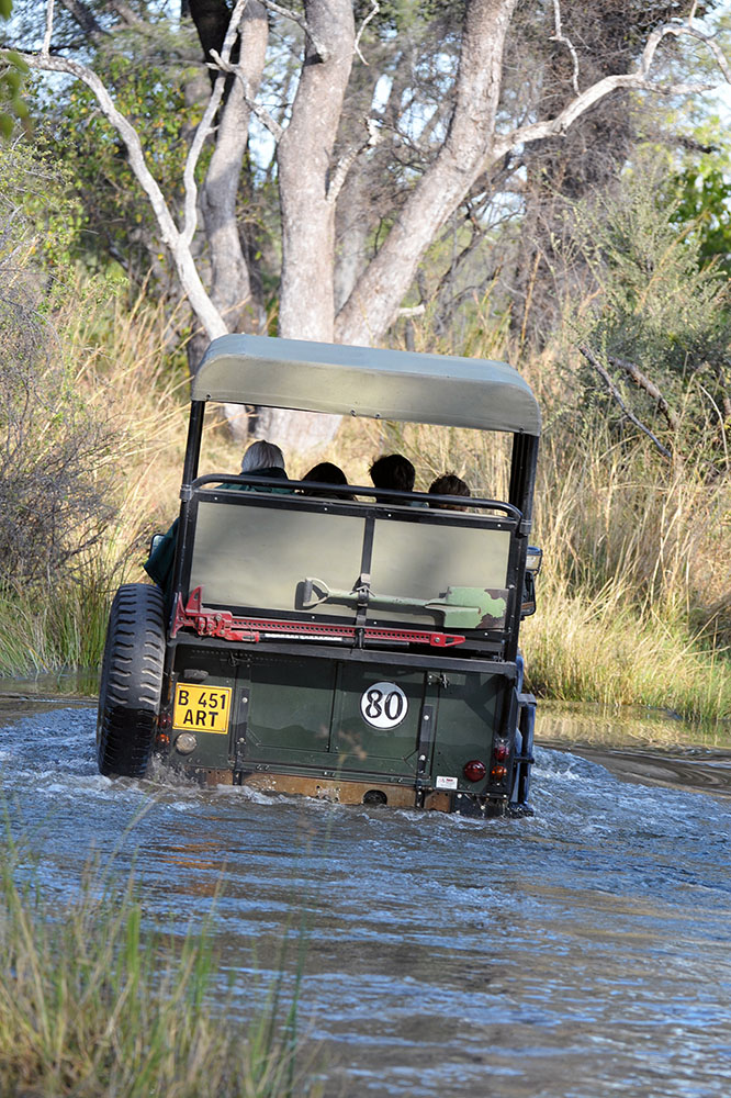 Excursion dans le Delta de l'Okavango