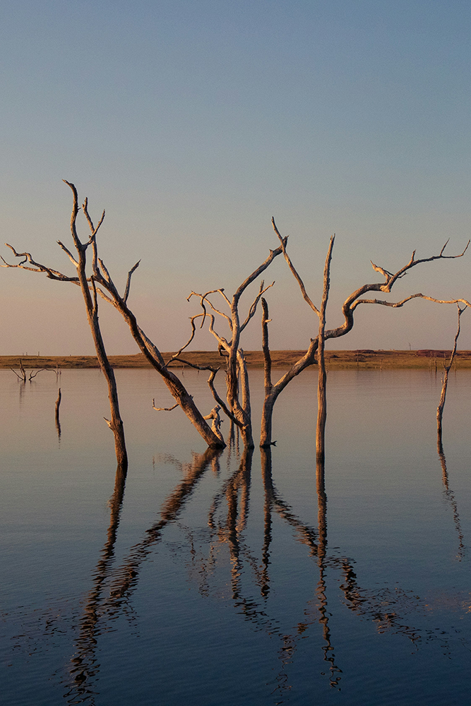 Safaris aquatiques et horizons d'eau