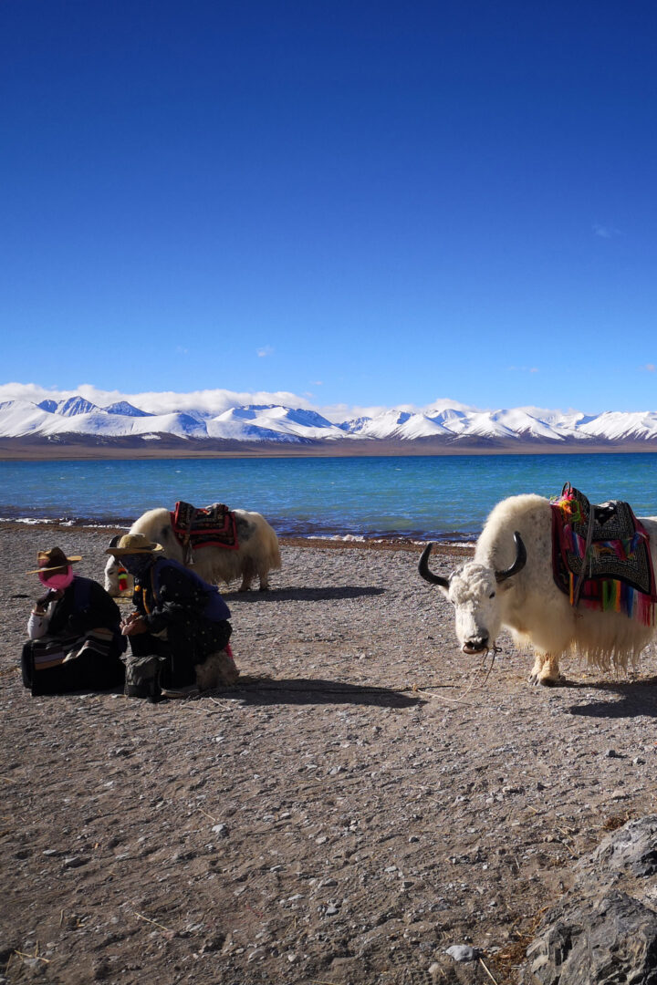 Vers le lac Nam Tso