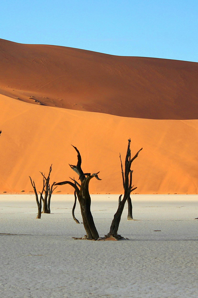 Arrivée et découverte du désert du Namib