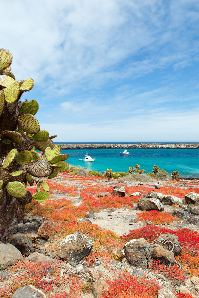 Sur l'île de Santa Cruz
