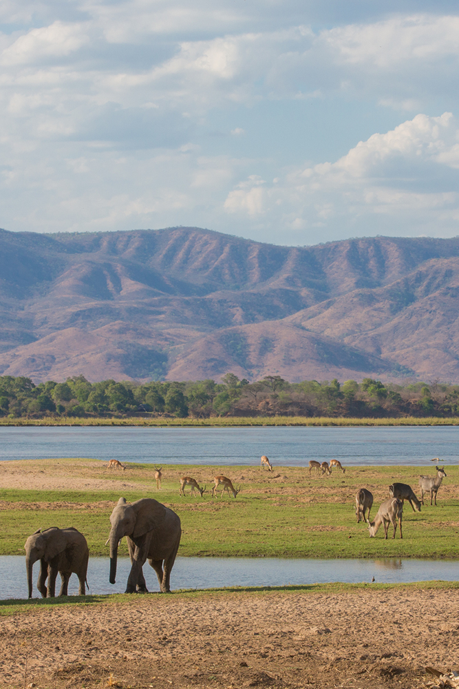 Derniers instants au Zimbabwe