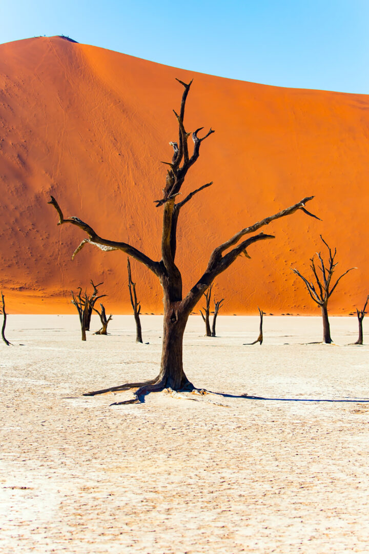 Namibie